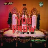 You Know (feat. Indygo Shai & Lotto Cashcow) - Single - MrVillin