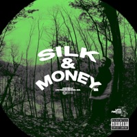 Silk & Money - John Wells