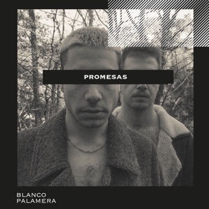 Promesas