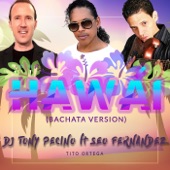 Hawái (Bachata Version) [feat. Seo Fernandez & Tito Ortega] artwork
