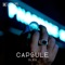 Fini - Loulou lyrics