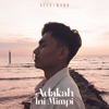 Reedzwann - Adakah Ini Mimpi