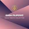 Gaga Filipović (Zlaja Timotić Collection)
