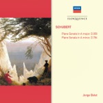 Jorge Bolet - Piano Sonata No. 14 in A Minor, D.784: 1. Allegro giusto