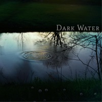 Dark Water - Destined Dynamics