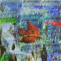 Leaf EP - Ace el Rahim