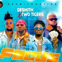 Focus (feat. Two Tigers) - Single - Desmith