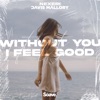 Nexeri - Without You I Feel Good