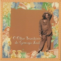 O Olhar Brasileiro de Gonzaga Leal - Gonzaga Leal