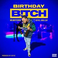 Birthday Bitch (feat. G5yve & King Leaf) - Single - Mr. White Dogg
