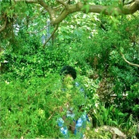 Flex - Single - Taquan