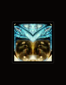 Listen to Top Loader, watch music videos, read bio, see tour dates & more!