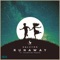 Runaway (Heuse Remix) - Halcyon, Valentina Franco & Heuse lyrics