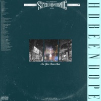 New Year Theme Music - Single - HDBeenDope