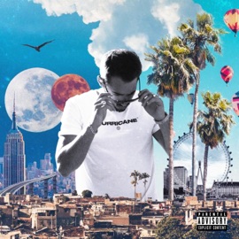 Lunettes Fumées Kane