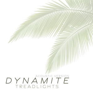 Dynamite (Acoustic Version) - Single