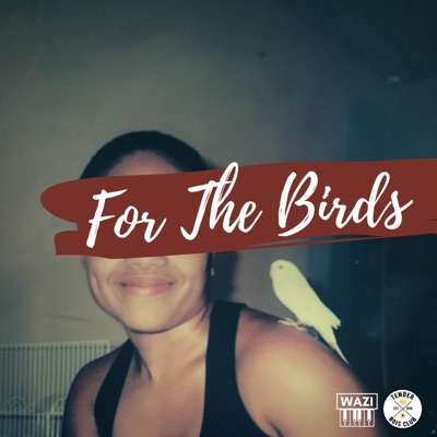 For the Birds - Single