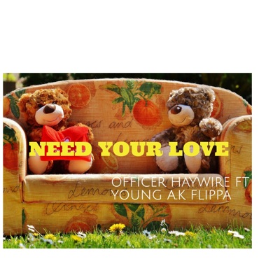 Need Your Love - Single