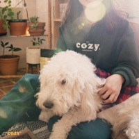 Cozy - Single - Uzuhan