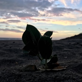 I Felt Like Making This Too lofee