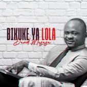 Bikuke ya lola (Live) artwork