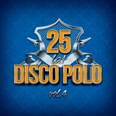 25 Lat Disco Polo vol.4 artwork