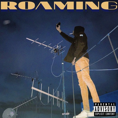 Roaming