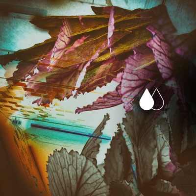 Mayapur Amethyst - Single