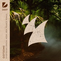 Everybody Know Now (Ben Pearce Remix) - Single - GotSome