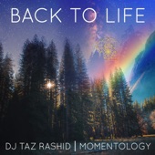 Back to Life artwork