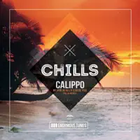Never Really Liked You (Sons of Maria Remix) — Calippo