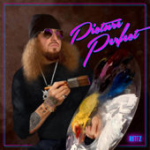 Picture Perfect - Rittz Cover Art