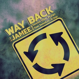 Way Back (feat. Gneiss Vibe, Pyjign, Tom Swankss & Imp) - Single