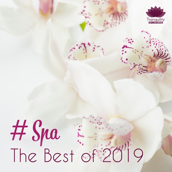 # Spa: The Best of 2019, Tranquility & Total Relax