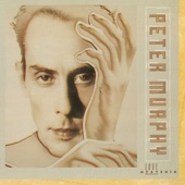 Peter Murphy - Time Has Got Nothing To Do With It