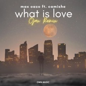 What Is Love (feat. Camishe) [Ojax Remix] artwork