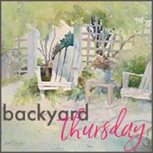 Jesse Correll - Backyard Thursday