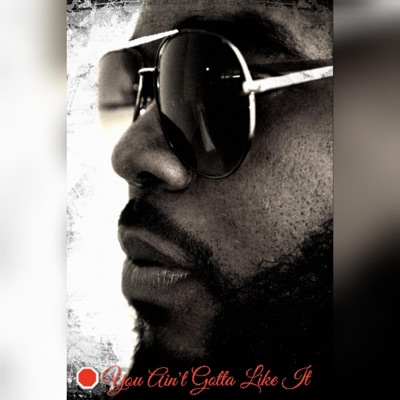 You Ain't Gotta Like It - Single