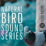 Nature Bird Sounds - Natural Sound Makers, Nature Recordings & Nature Sound Series