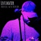 Divinity (feat. Josh Heinrichs & Skillinjah) - Levi Dozier lyrics