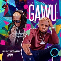 Gawu (feat. Zlatan) - Single - Murphy Mccarthy