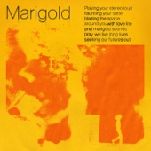 Marigold artwork