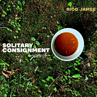 Solitary Consignment, Pt. 3