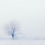 My Heart Feels Like Ice - Single