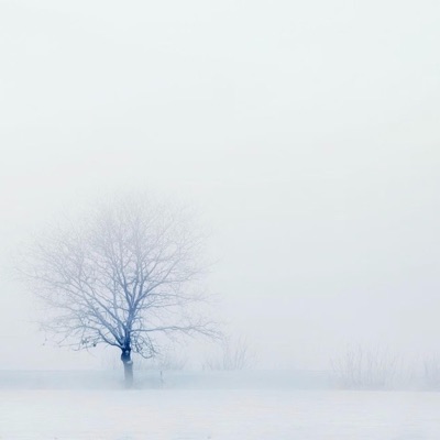 My Heart Feels Like Ice - Single