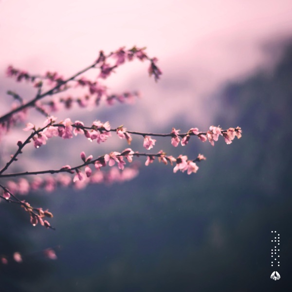 Better Days - EP