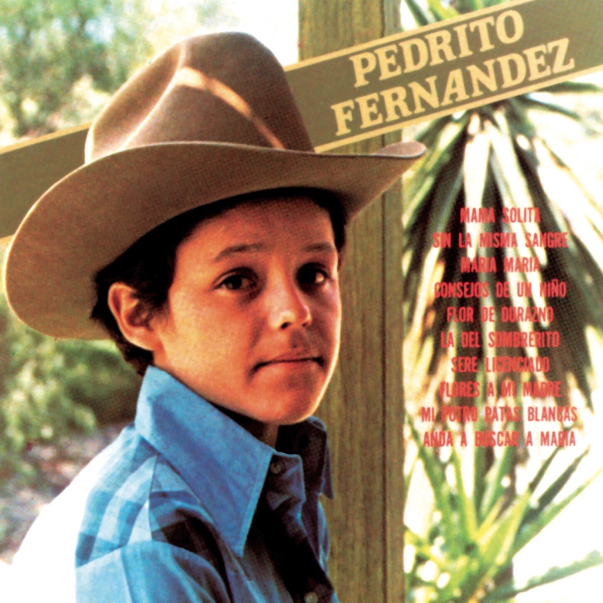 ‎Pedrito Fernández de Pedrito Fernandez en Apple Music