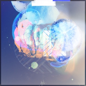Oranges - Single