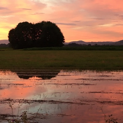 Lullaby (feat. Futhills) - Single