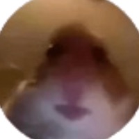 Hamster Cult - Single - Lil Eli